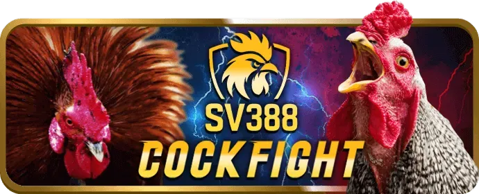 Hỗ trợ khách hàng 88go